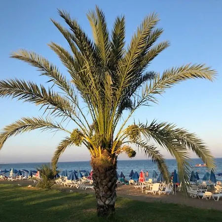 Diamond Cyprus - Royal Sun Flower Apertment *
